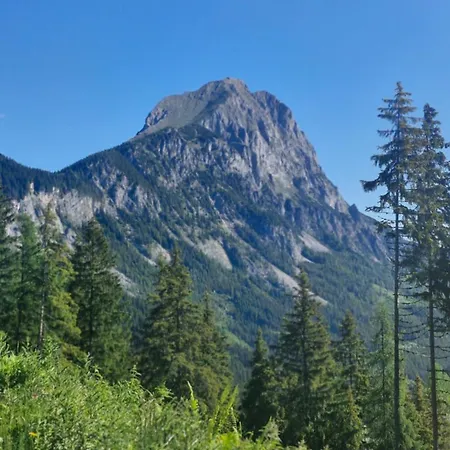 Bergblick Radmer an der Stube