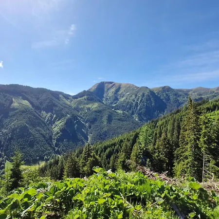 Bergblick Radmer an der Stube