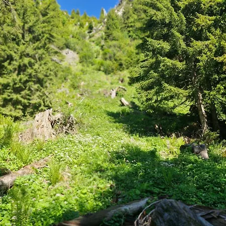 Bergblick Appartamento